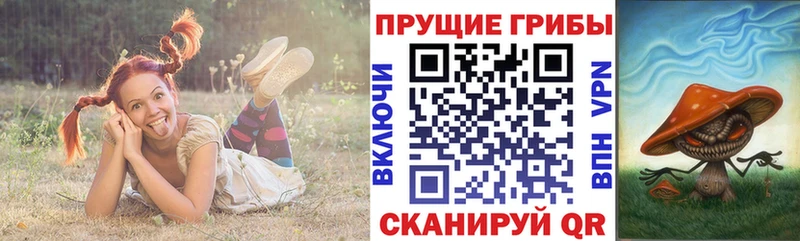 Купить где  Короча  Псилоцибиновые грибы GOLDEN TEACHER 